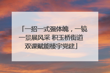 一招一式强体魄，一镜一景展风采 积玉桥街道双课赋能楼宇党建