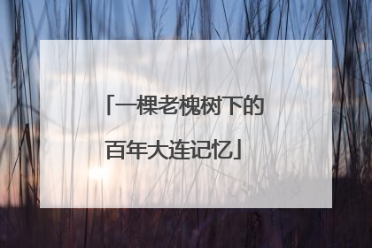一棵老槐树下的百年大连记忆