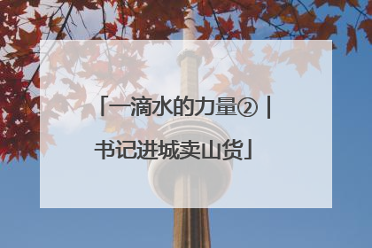 一滴水的力量②｜书记进城卖山货
