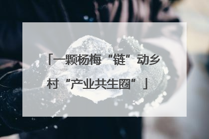 一颗杨梅“链”动乡村“产业共生圈”