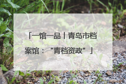 一馆一品丨青岛市档案馆：“青档资政”