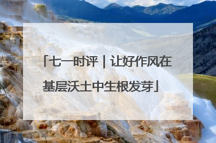 七一时评｜让好作风在基层沃土中生根发芽