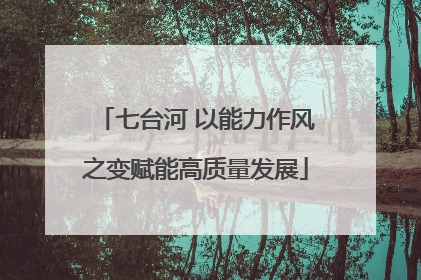 七台河 以能力作风之变赋能高质量发展