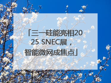 三一硅能亮相2025 SNEC展，智能微网成焦点