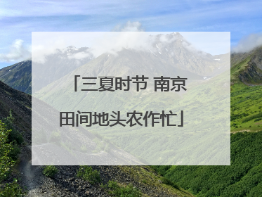 三夏时节 南京田间地头农作忙