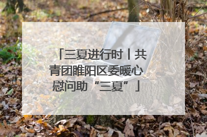 三夏进行时丨共青团睢阳区委暖心慰问助“三夏”