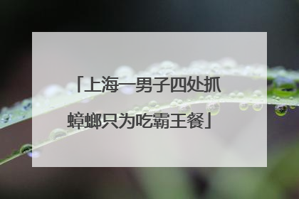 上海一男子四处抓蟑螂只为吃霸王餐