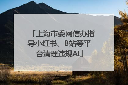 上海市委网信办指导小红书、B站等平台清理违规AI