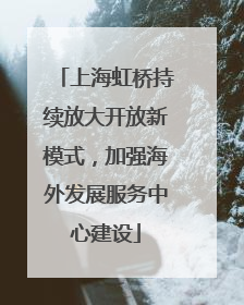 上海虹桥持续放大开放新模式，加强海外发展服务中心建设