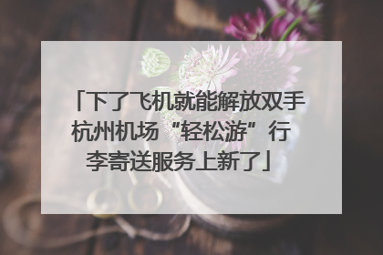 下了飞机就能解放双手 杭州机场“轻松游”行李寄送服务上新了