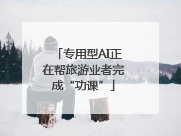 专用型AI正在帮旅游业者完成“功课”