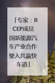 专家：RCEP成员国新能源汽车产业合作驶入共赢快车道