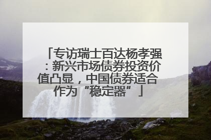 专访瑞士百达杨孝强：新兴市场债券投资价值凸显，中国债券适合作为“稳定器”