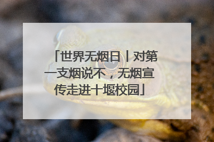 世界无烟日丨对第一支烟说不，无烟宣传走进十堰校园