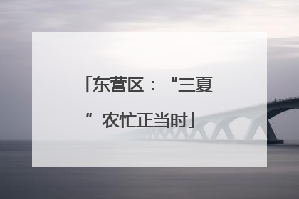 东营区：“三夏”农忙正当时