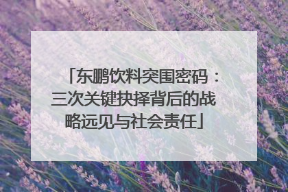 东鹏饮料突围密码：三次关键抉择背后的战略远见与社会责任