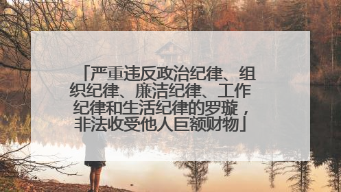 严重违反政治纪律、组织纪律、廉洁纪律、工作纪律和生活纪律的罗璇，非法收受他人巨额财物