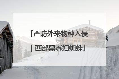 严防外来物种入侵｜西部黑寡妇蜘蛛
