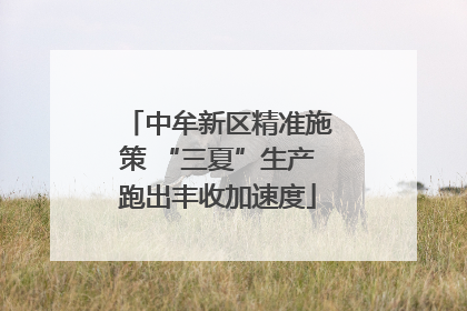 中牟新区精准施策 “三夏”生产跑出丰收加速度