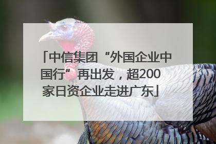中信集团“外国企业中国行”再出发，超200家日资企业走进广东