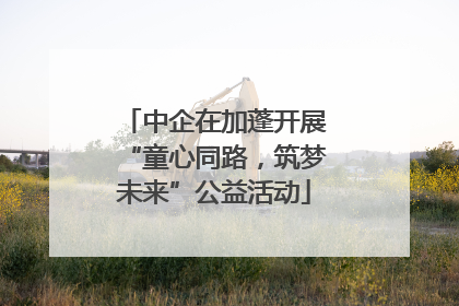 中企在加蓬开展“童心同路，筑梦未来”公益活动