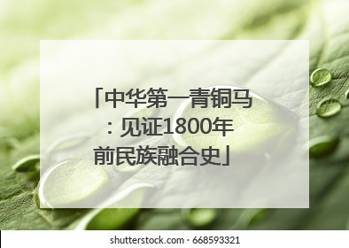 中华第一青铜马：见证1800年前民族融合史