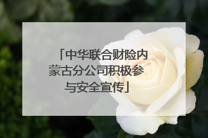 中华联合财险内蒙古分公司积极参与安全宣传