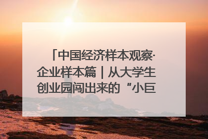中国经济样本观察·企业样本篇｜从大学生创业园闯出来的“小巨人”——卡诺普机器人的逐梦历程