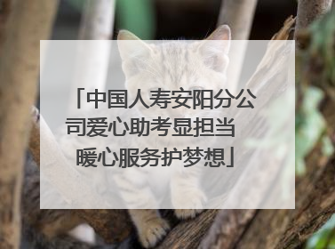 中国人寿安阳分公司爱心助考显担当 暖心服务护梦想