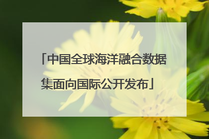 中国全球海洋融合数据集面向国际公开发布