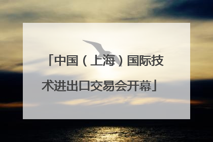 中国（上海）国际技术进出口交易会开幕