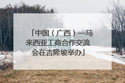 中国（广西）—马来西亚工商合作交流会在吉隆坡举办