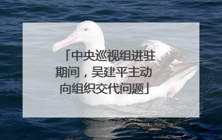 中央巡视组进驻期间，吴建平主动向组织交代问题