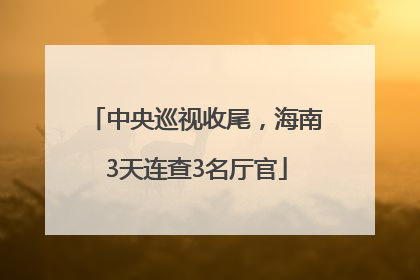 中央巡视收尾，海南3天连查3名厅官