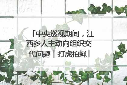 中央巡视期间，江西多人主动向组织交代问题｜打虎拍蝇