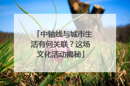 中轴线与城市生活有何关联？这场文化活动揭秘