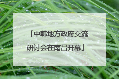 中韩地方政府交流研讨会在南昌开幕