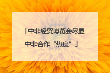 中非经贸博览会尽显中非合作“热度”