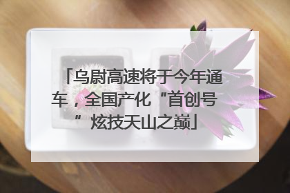 乌尉高速将于今年通车，全国产化“首创号”炫技天山之巅