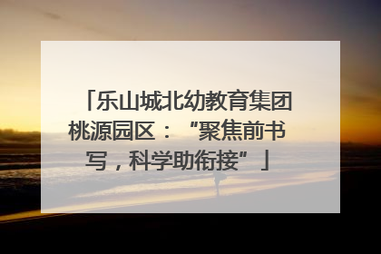 乐山城北幼教育集团桃源园区：“聚焦前书写，科学助衔接”