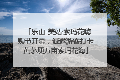 乐山-美姑·索玛花嗨购节开幕，诚邀游客打卡黄茅埂万亩索玛花海