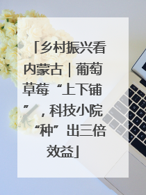 乡村振兴看内蒙古｜葡萄草莓“上下铺”，科技小院“种”出三倍效益