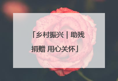 乡村振兴｜助残捐赠 用心关怀