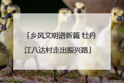 乡风文明谱新篇 牡丹江八达村走出振兴路
