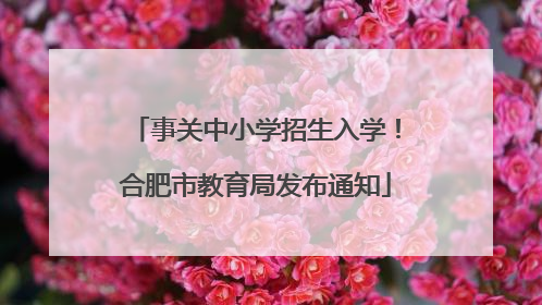 事关中小学招生入学！合肥市教育局发布通知