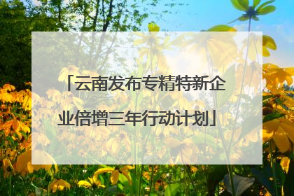 云南发布专精特新企业倍增三年行动计划