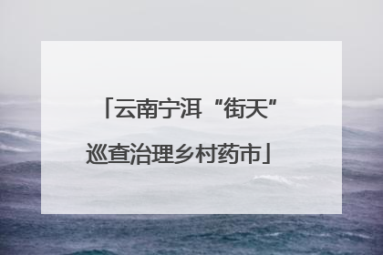 云南宁洱“街天”巡查治理乡村药市