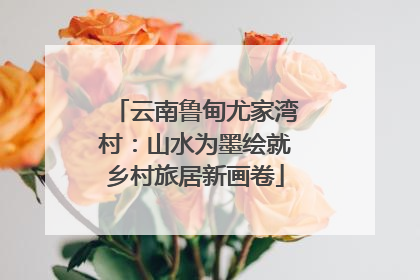 云南鲁甸尤家湾村：山水为墨绘就乡村旅居新画卷