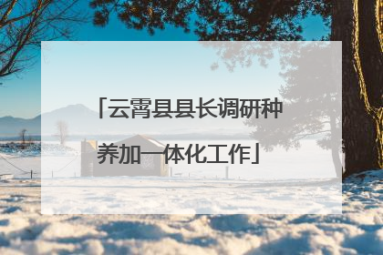 云霄县县长调研种养加一体化工作