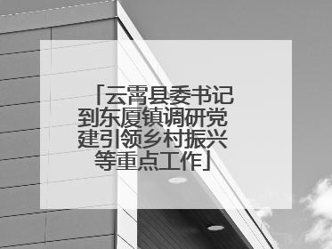 云霄县委书记到东厦镇调研党建引领乡村振兴等重点工作